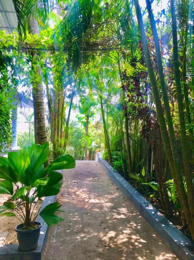Petit Ana Beach Retreat 瓦尔卡拉 外观 照片