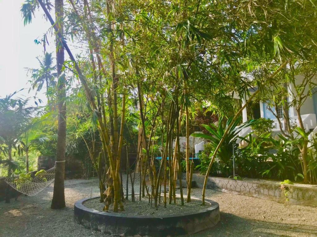 Petit Ana Beach Retreat 瓦尔卡拉 外观 照片